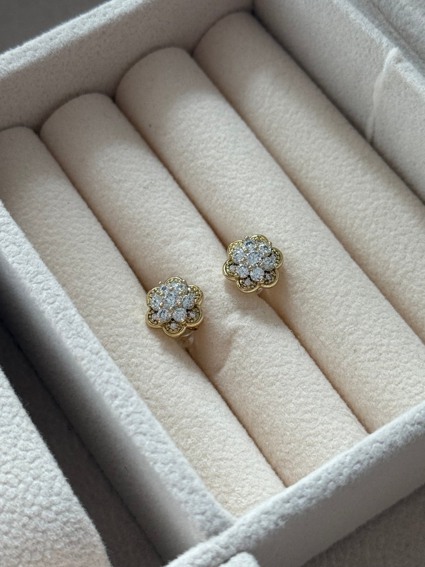 Pendientes modelo 020